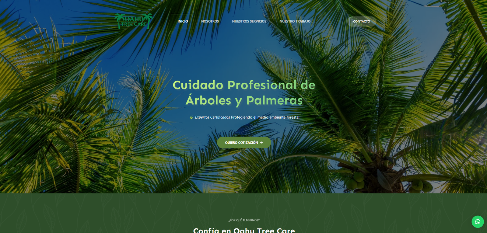 Websyebra%20|%20Diseño%20de%20sitios%20webs%20y%20tiendas%20online